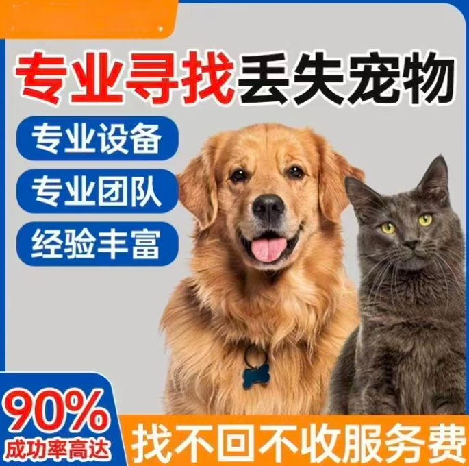 1790060426706456.png
