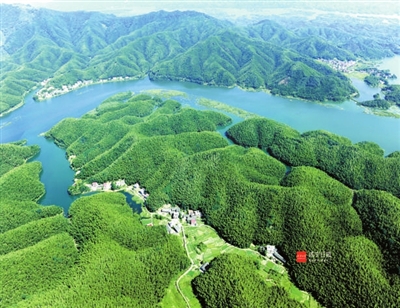 摇曳新型林业清风 厚植天然绿色屏障 -咸宁日报