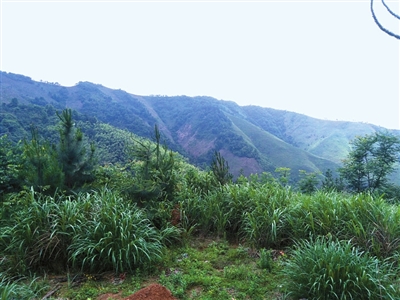 通山县人口有多少人口_通山县人民医院照片