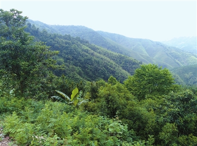 通山县人口有多少人口_通山县人民医院照片