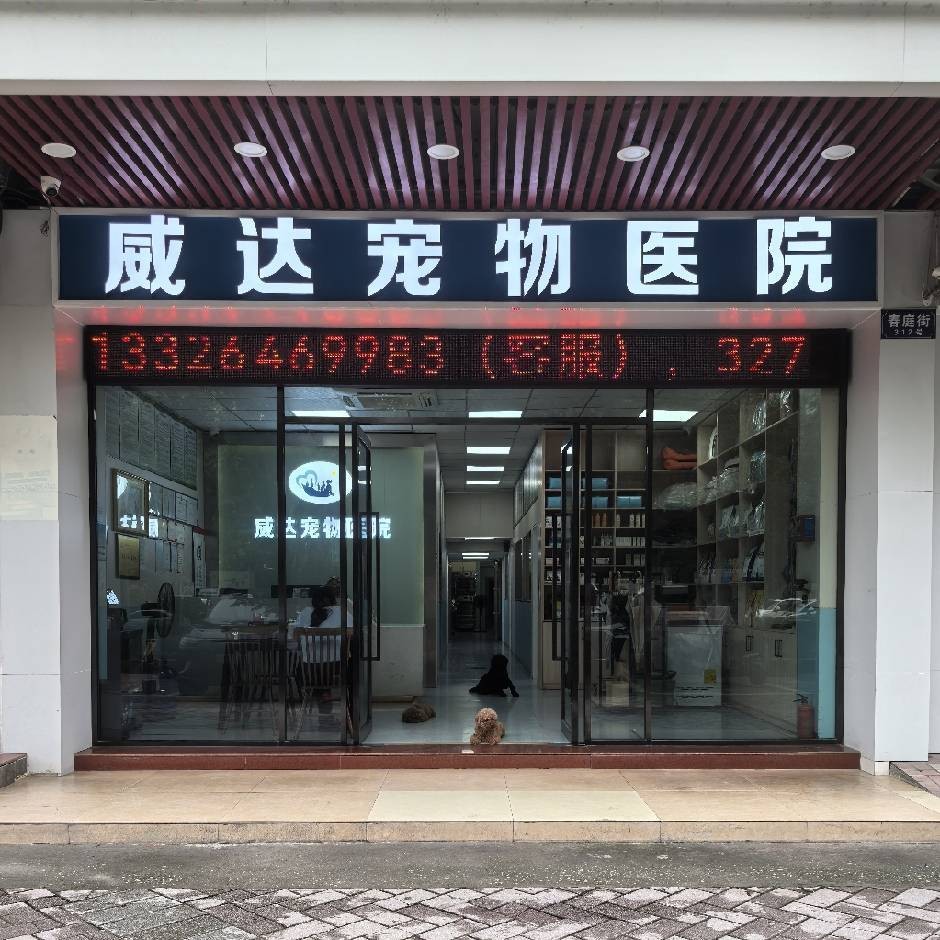 1785726758839407.jpg